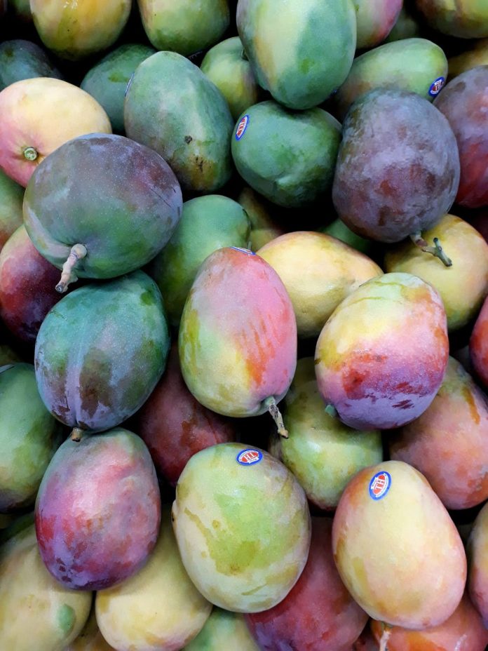 assorted color mangoes